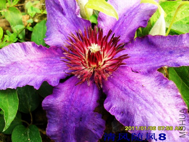 ������1 (2).jpg