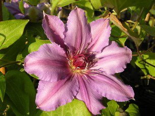 �Ű��� ������ .jpg