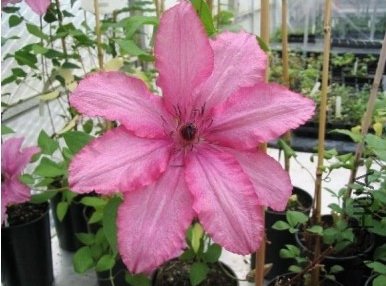 �Ű��� ������ 1.jpg