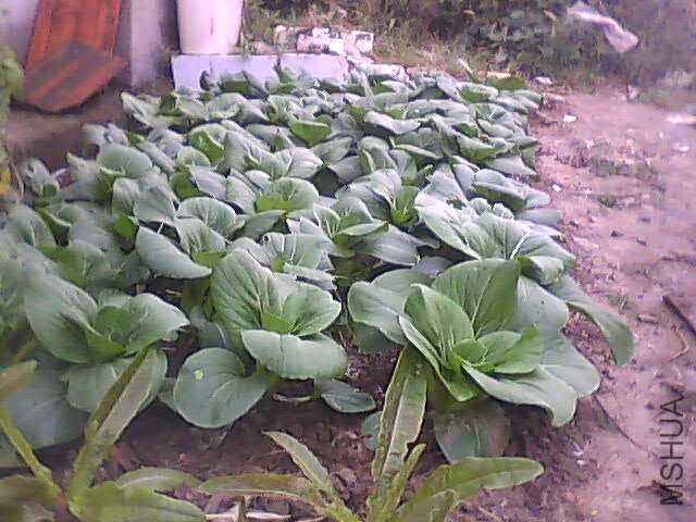 PIC_2289.jpg