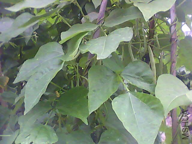 PIC_6214.jpg