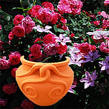 T1QAFJXnxdXXc_h231_040903.jpg