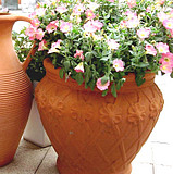 T1iqhBXm8fXXbCUks9_073948.jpg