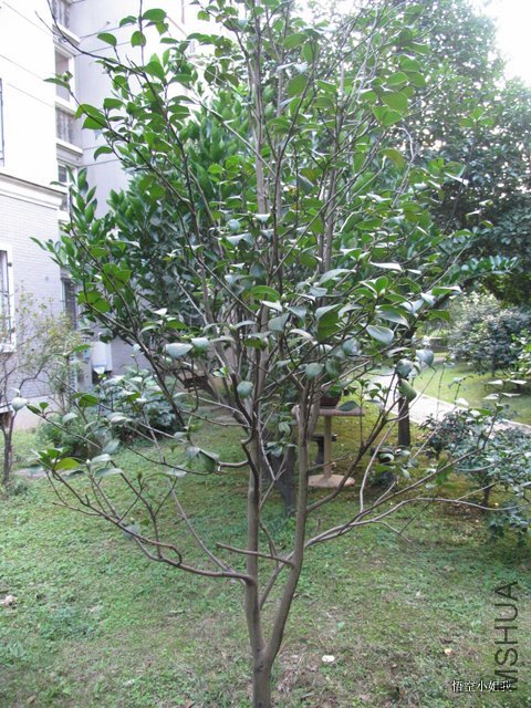 ��ХХ2011�� 054.JPG