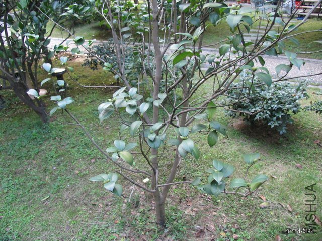 ��ХХ2011�� 061.JPG