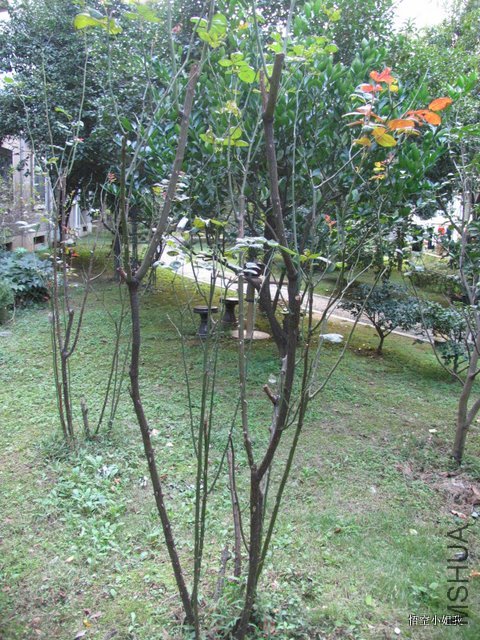 ��ХХ2011�� 058.JPG