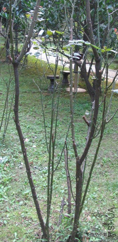 ��ХХ2011�� 058-5.JPG