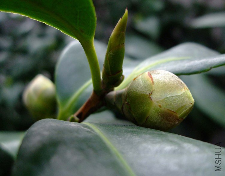 ��Ƭ2011-10-14 04611.jpg