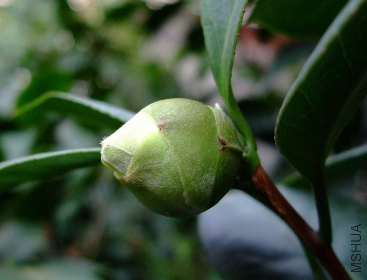 ��Ƭ2011-10-14 05411.jpg