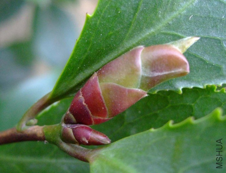 ��Ƭ2011-10-16 04111.jpg
