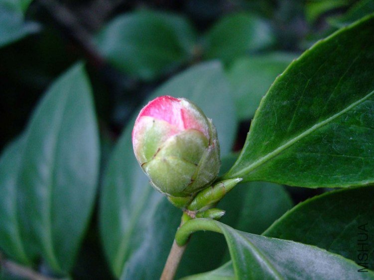 ��Ƭ2011-10-16 00511.jpg