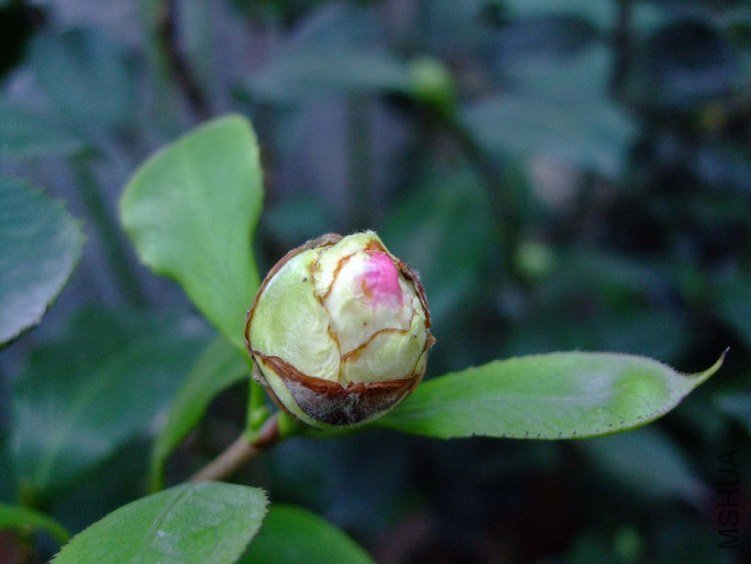 ��Ƭ2011-10-16 00711.jpg