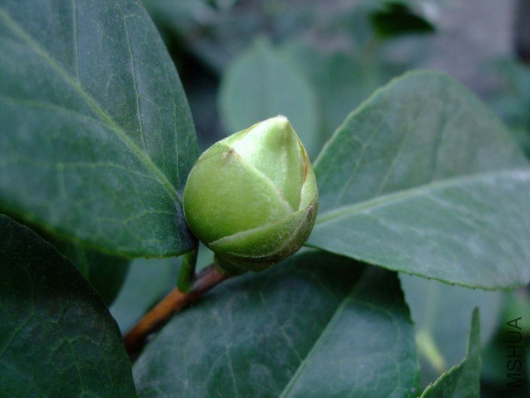 ��Ƭ2011-10-16 00811.jpg