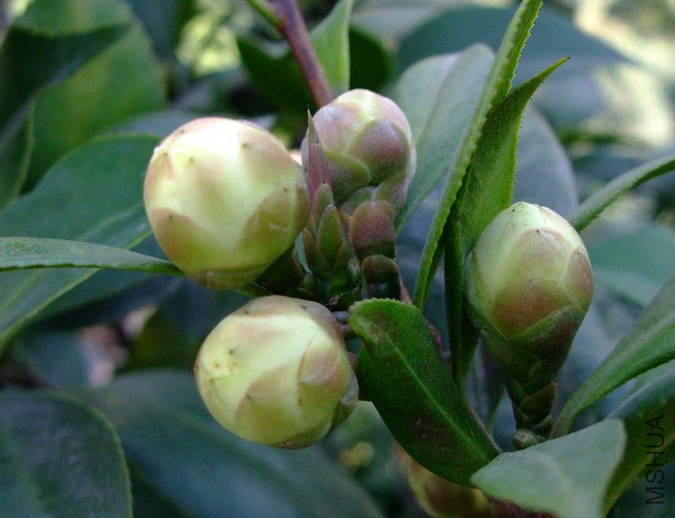 ��Ƭ2011-10-16 01311.jpg