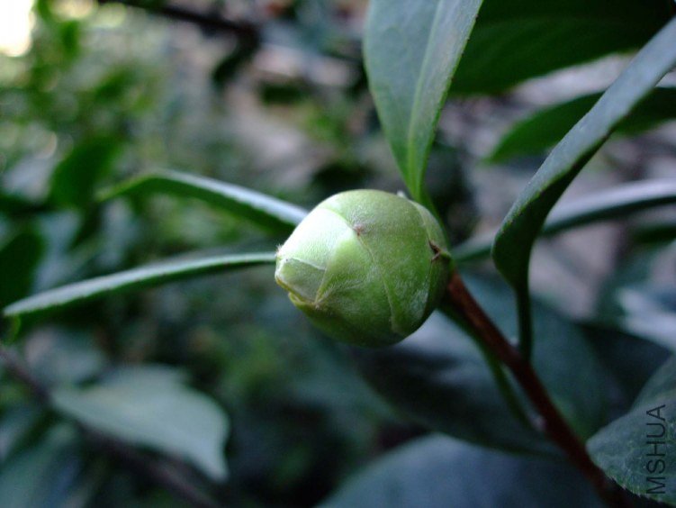 ��Ƭ2011-10-16 02611.jpg