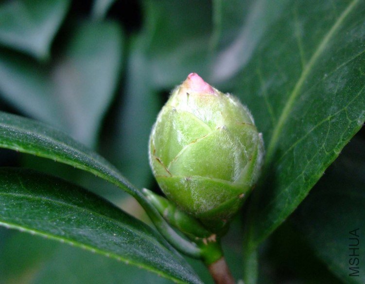 ��Ƭ2011-10-16 03511.jpg