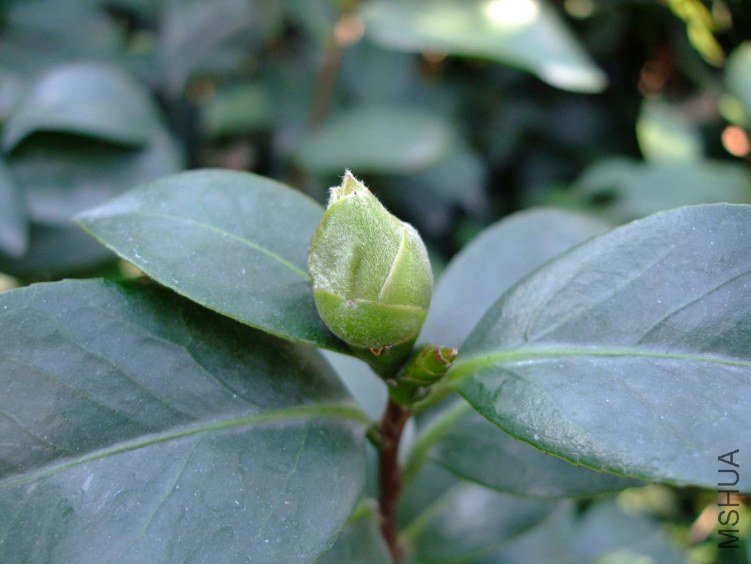 ��Ƭ2011-10-16 03911.jpg