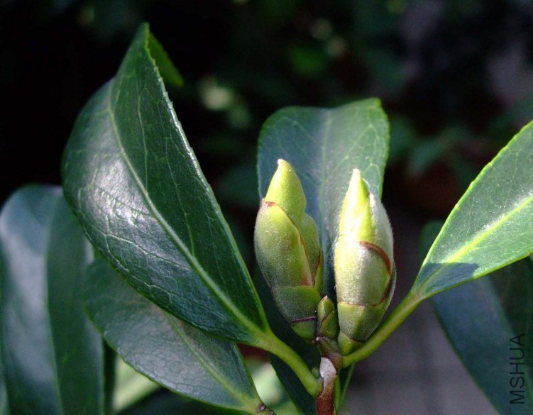 ��Ƭ2011-10-16 04011.jpg