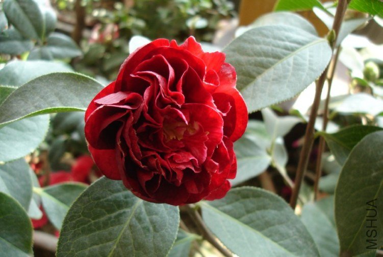 QQ��ͼ20111018120433.jpg