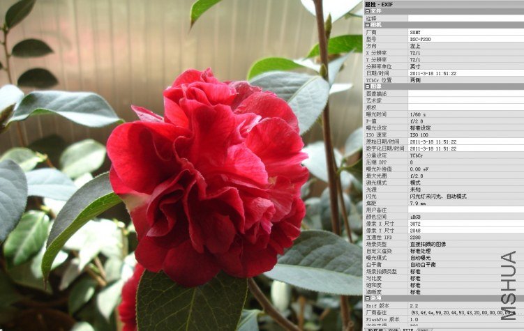 QQ��ͼ20111018120502.jpg
