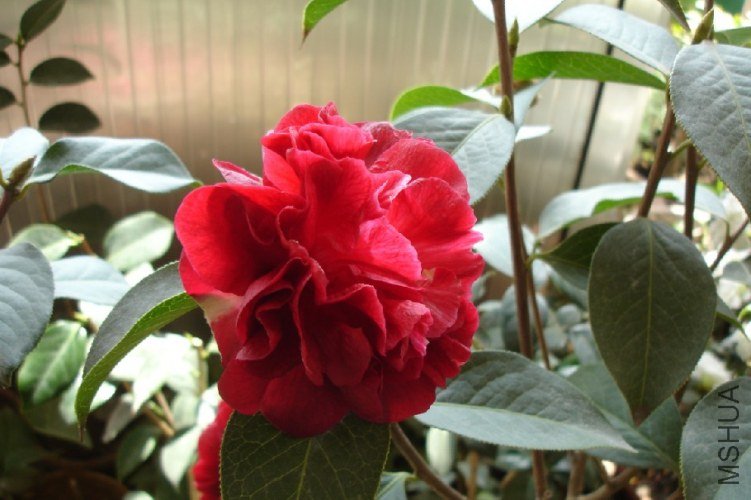 QQ��ͼ20111018120726.jpg