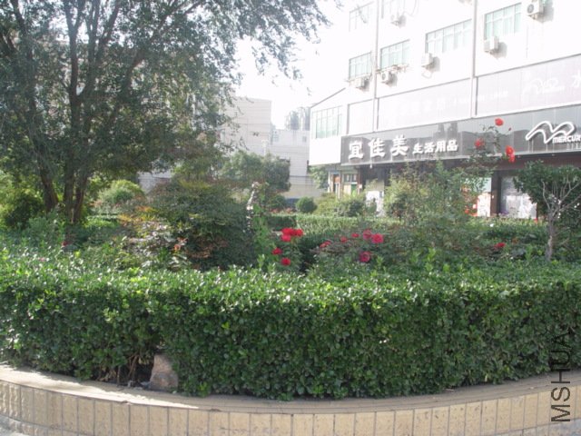 DSC01504.JPG