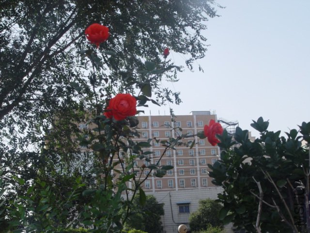 DSC01507.JPG