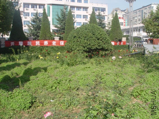 DSC01515.JPG