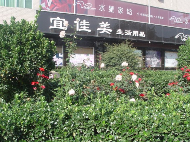 DSC01508.JPG