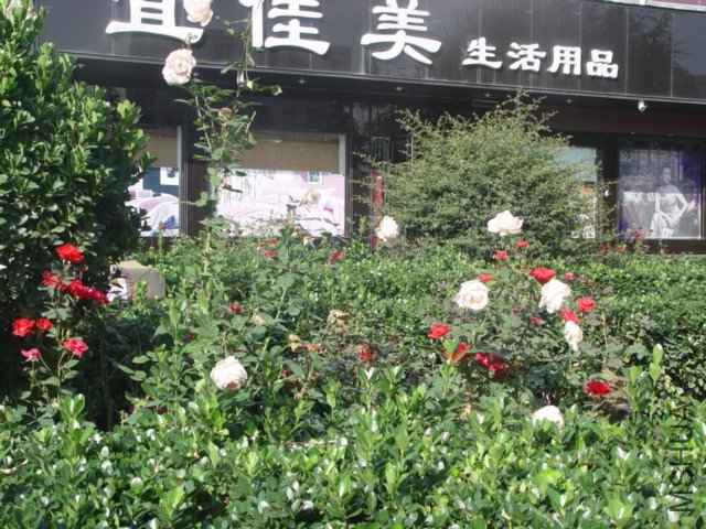 DSC01509.JPG