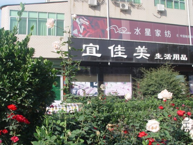 DSC01512.JPG