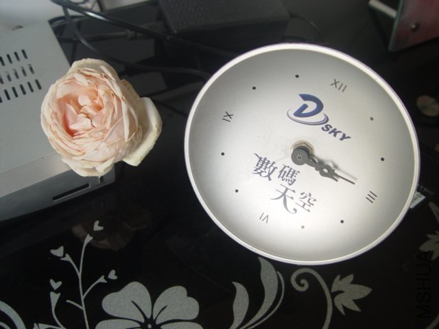 DSC01516.JPG