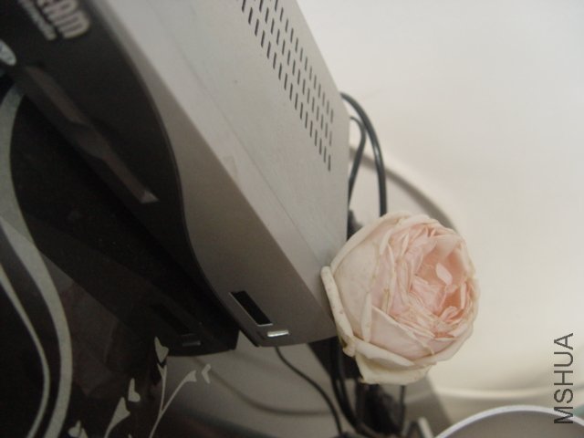 DSC01518.JPG
