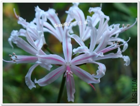 ����10  19.jpg