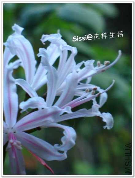 ����10 19.jpg