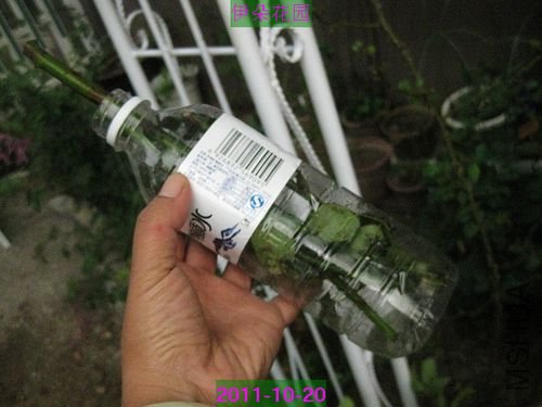 nEO_IMG_��Ƭ 063.jpg