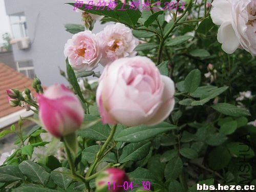 1104300703ac27a97eb6f3bde7.jpg