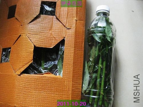 nEO_IMG_��Ƭ 069.jpg