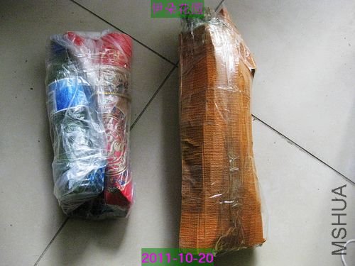 nEO_IMG_��Ƭ 072.jpg