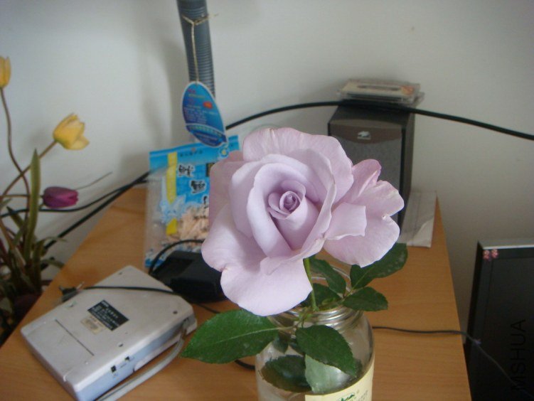 DSC09394.JPG