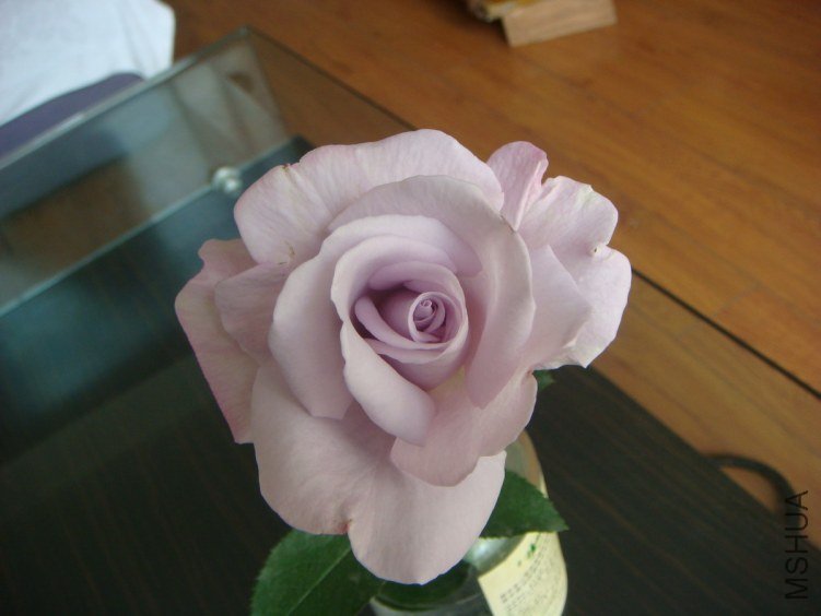 DSC09395.JPG