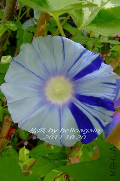 2011-1020 �ɷ�.jpg