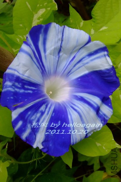 2011-1020 �ɷ�2.jpg