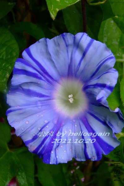 2011-1020 �ɷ� 7.jpg