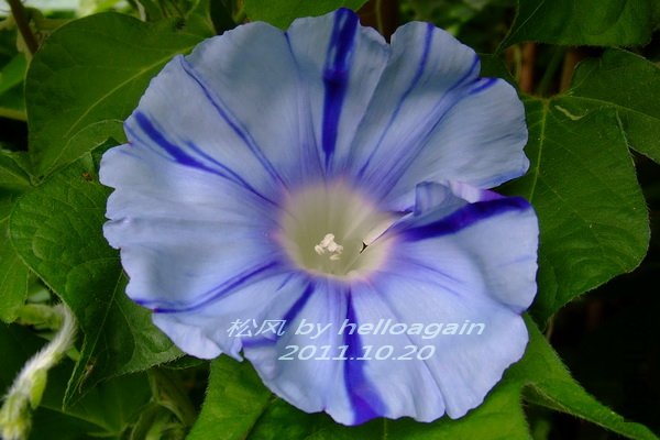 2011-1020 �ɷ� 8.jpg