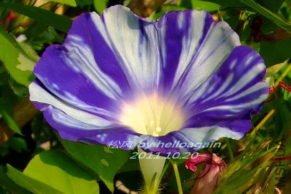 2011-1020 �ɷ�3.jpg