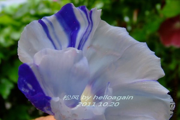 2011-1020 �ɷ�4.jpg