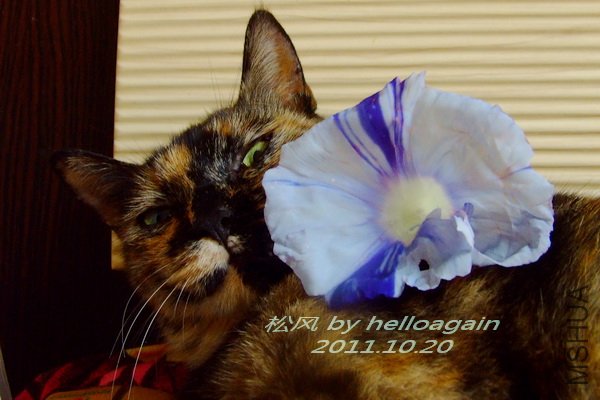 2011-1020 �ɷ�5.jpg