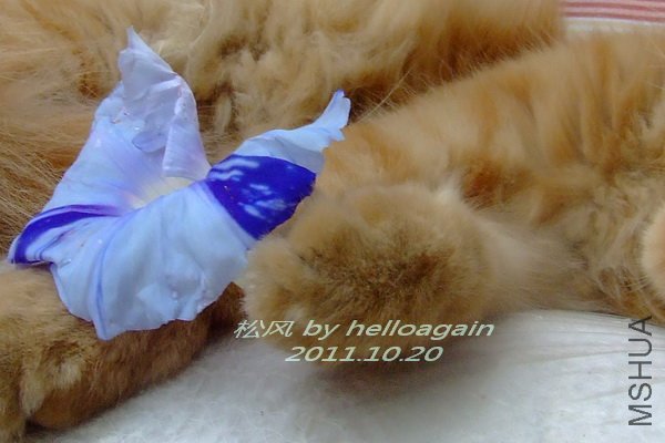 2011-1020 �ɷ� 6.jpg