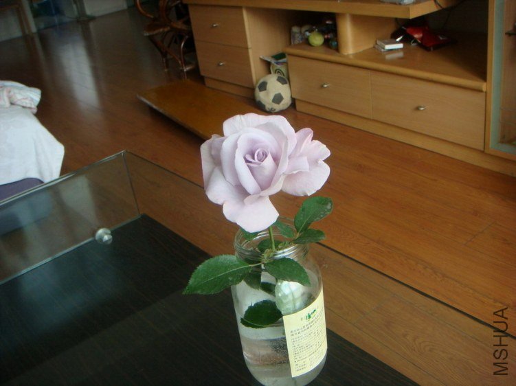DSC09397.JPG